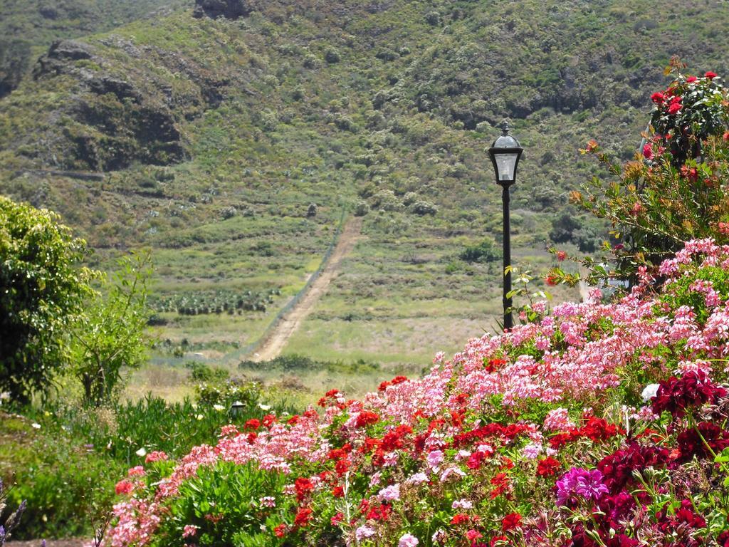 Finca El Picacho Apartments In The Countryside 2 Km From The Beach Tejina Rom bilde