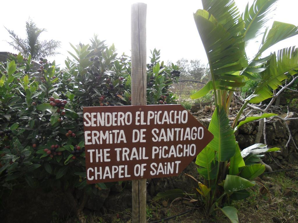 Finca El Picacho Apartments In The Countryside 2 Km From The Beach Tejina Rom bilde